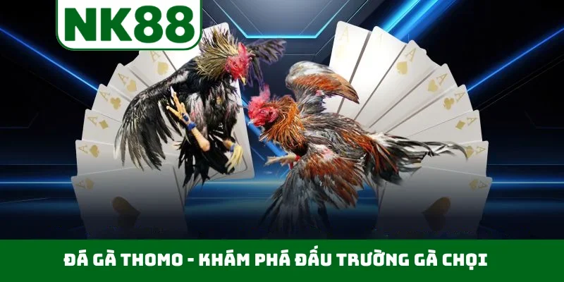 Đá gà Thomo