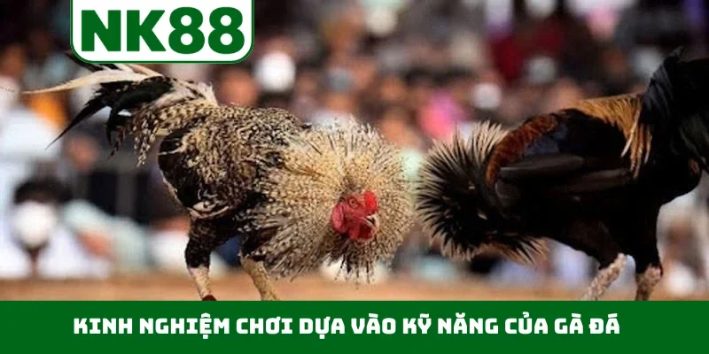 Kinh nghiệm chơi dựa vào kỹ năng của gà đá