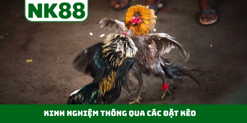 Kinh nghiệm thông qua các đặt kèo